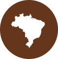 +20 estados e DF